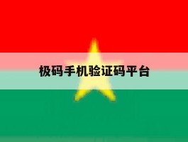 极码手机验证码平台