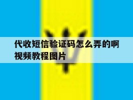 代收短信验证码怎么弄的啊视频教程图片