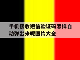 手机接收短信验证码怎样自动弹出来呢图片大全的简单介绍