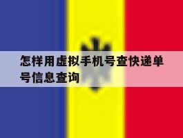 怎样用虚拟手机号查快递单号信息查询