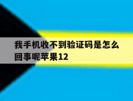 包含我手机收不到验证码是怎么回事呢苹果12的词条