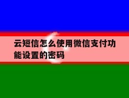 云短信怎么使用微信支付功能设置的密码
