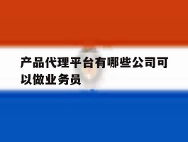 产品代理平台有哪些公司可以做业务员