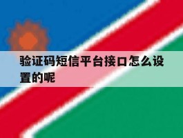 验证码短信平台接口怎么设置的呢