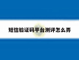 短信验证码平台测评怎么弄