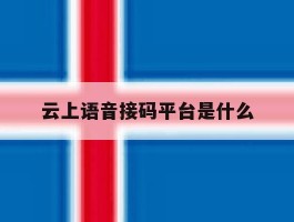 云上语音接码平台是什么