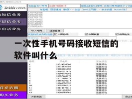 一次性手机号码接收短信的软件叫什么