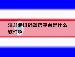 注册验证码短信平台是什么软件啊