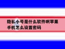 隐私小号是什么软件啊苹果手机怎么设置密码