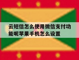 云短信怎么使用微信支付功能呢苹果手机怎么设置的简单介绍