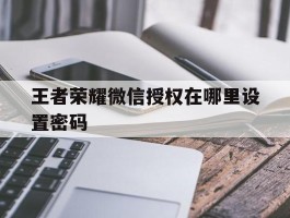 包含王者荣耀微信授权在哪里设置密码的词条