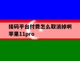 包含接码平台付费怎么取消掉啊苹果11pro的词条