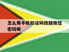 怎么用手机验证码找回微信密码呢