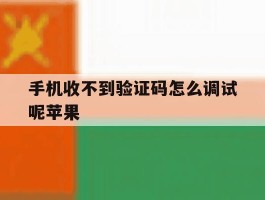 手机收不到验证码怎么调试呢苹果