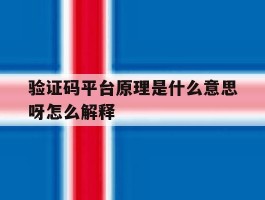 验证码平台原理是什么意思呀怎么解释