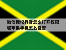 包含微信授权抖音怎么打开权限呢苹果手机怎么设置的词条