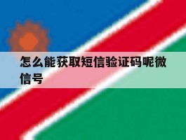 怎么能获取短信验证码呢微信号