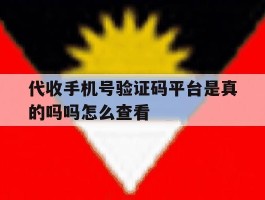 代收手机号验证码平台是真的吗吗怎么查看的简单介绍
