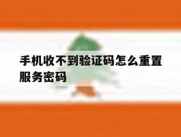 手机收不到验证码怎么重置服务密码