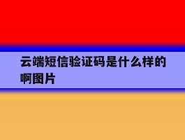 云端短信验证码是什么样的啊图片
