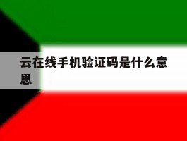 云在线手机验证码是什么意思
