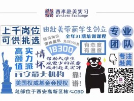 包含虚拟美国电话号接收短信怎么办理业务的的词条