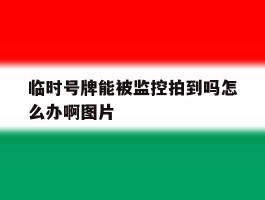 临时号牌能被监控拍到吗怎么办啊图片