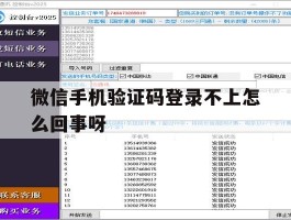 微信手机验证码登录不上怎么回事呀