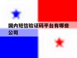 国内短信验证码平台有哪些公司