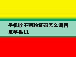 手机收不到验证码怎么调回来苹果11