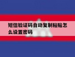 短信验证码自动复制粘贴怎么设置密码