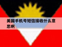 美国手机号短信接收什么意思啊