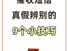 短信接码是什么