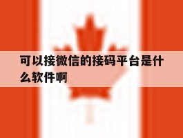 可以接微信的接码平台是什么软件啊