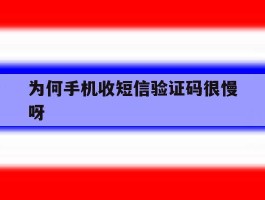 为何手机收短信验证码很慢呀