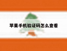 苹果手机验证码怎么查看