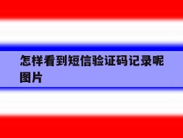 怎样看到短信验证码记录呢图片