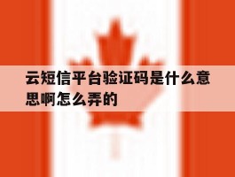 云短信平台验证码是什么意思啊怎么弄的
