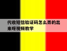 代收短信验证码怎么弄的出来呀视频教学的简单介绍