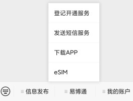 虚拟手机号能收到短信吗苹果版怎么设置密码的简单介绍