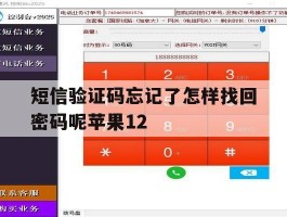 短信验证码忘记了怎样找回密码呢苹果12