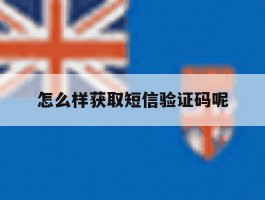 怎么样获取短信验证码呢