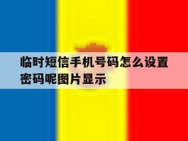 临时短信手机号码怎么设置密码呢图片显示