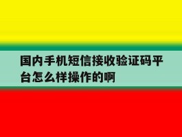 国内手机短信接收验证码平台怎么样操作的啊