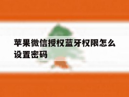 苹果微信授权蓝牙权限怎么设置密码