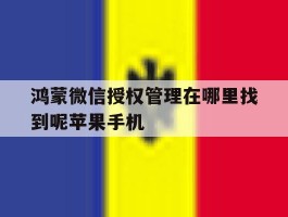 鸿蒙微信授权管理在哪里找到呢苹果手机的简单介绍