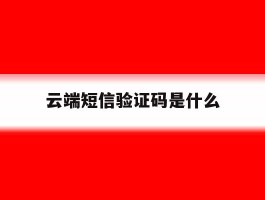 云端短信验证码是什么