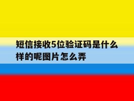 短信接收5位验证码是什么样的呢图片怎么弄
