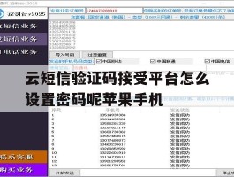 云短信验证码接受平台怎么设置密码呢苹果手机的简单介绍