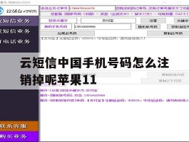 云短信中国手机号码怎么注销掉呢苹果11的简单介绍